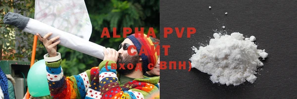 амф Верхний Тагил
