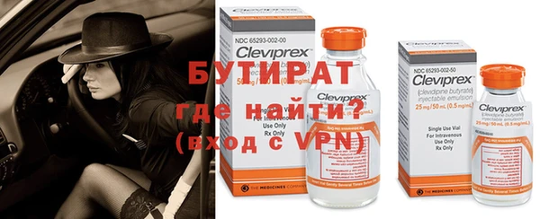 амф Верхний Тагил
