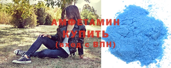 амф Верхний Тагил