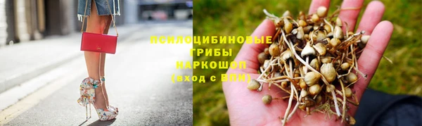 амф Верхний Тагил