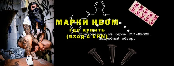 амф Верхний Тагил