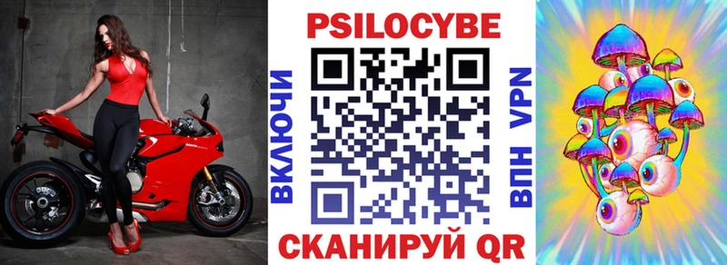 закладка  Пикалёво  Галлюциногенные грибы прущие грибы 